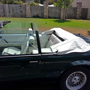 Mustang top cover 1