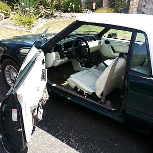 Mustang open door 1