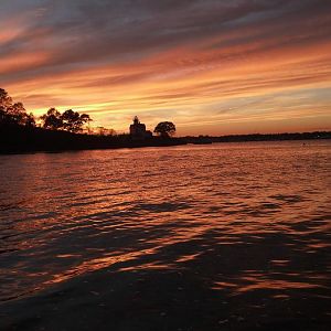 No Editing