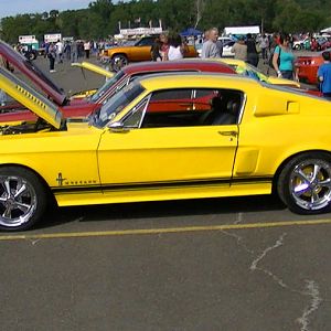 PIC 1238
