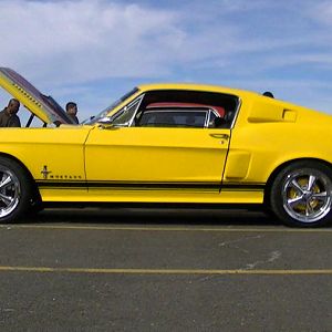 PIC 1241