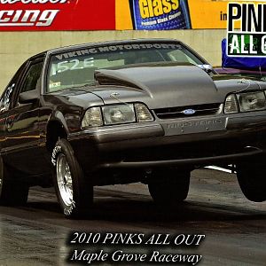 mustang pinks