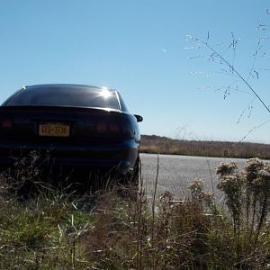 DSCN0263