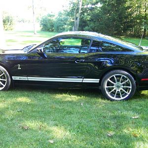 GT500 SHELBY 2 003