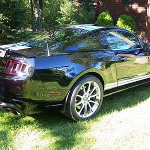 GT500 SHELBY 2 006