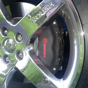 CAM00900 (Medium)