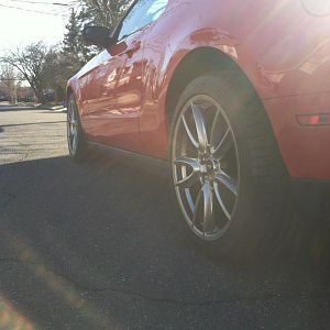 Perfect side view