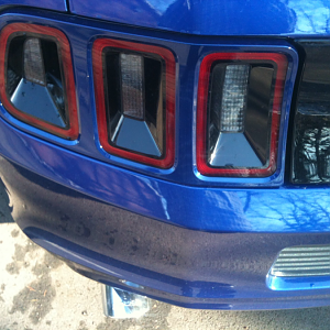 Taillight Bezel