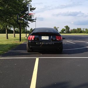 Ass