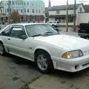 mustang