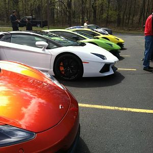 Aventadors