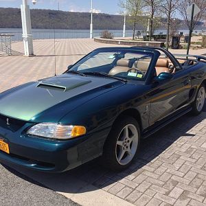 46040.jpg