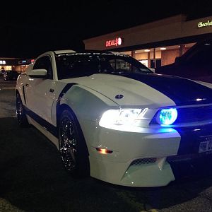 Switchback bulbs