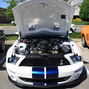 46490.jpg