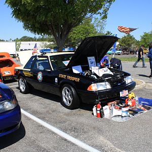 46497.jpg
