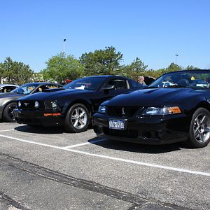 46508.jpg