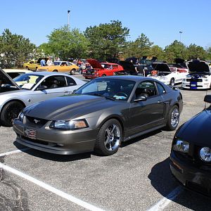 46510.jpg