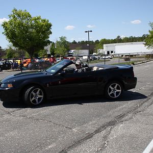 46556.jpg