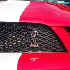 Snake