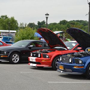 DSC 1743