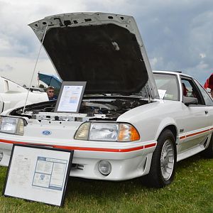 DSC 1746