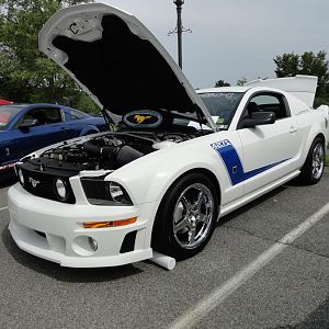 DSC00185