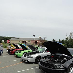 DSC00197