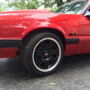 rim 1