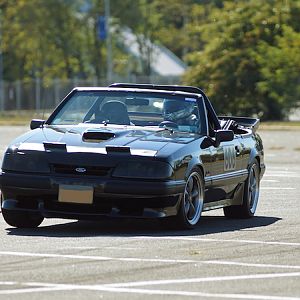 SCCA 13