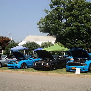 DSC07930