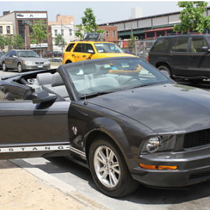 Mustang