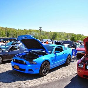 Car show life