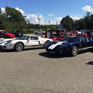 Ford GTs