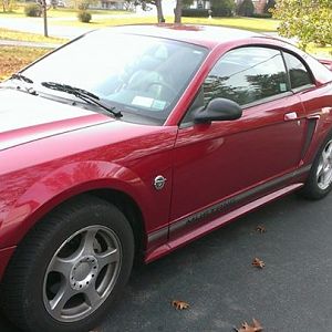 Highway Unicorn