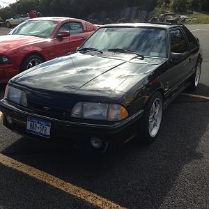 mustang show 008