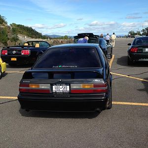 mustang show 009