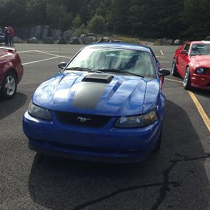 mustang show 011