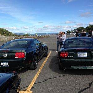 mustang show 013