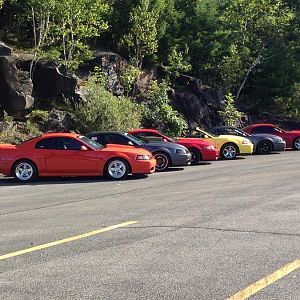 mustang show 048