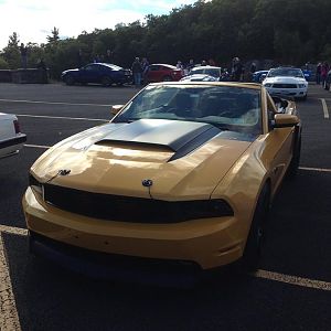 mustang show 025