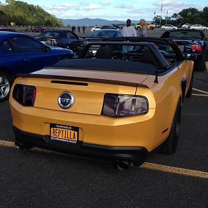 mustang show 026