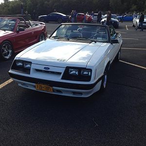 mustang show 027