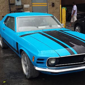 Freshly painted