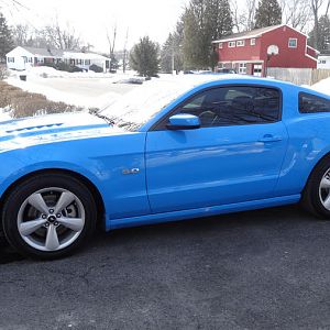 35% Tint