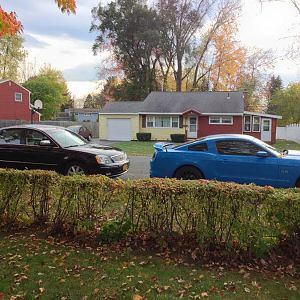 500 and mustang