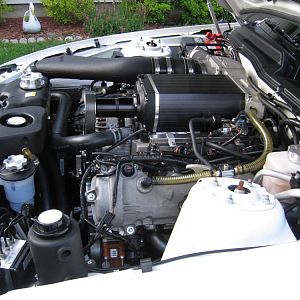 IMG 0550