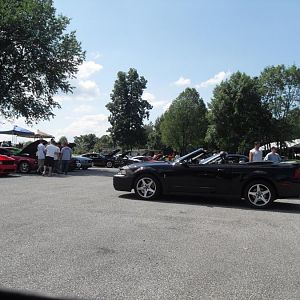 SDC10347