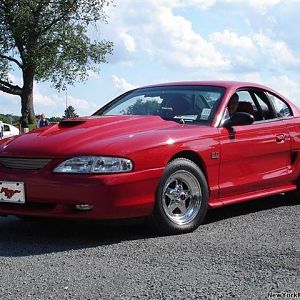 The StrongStang