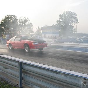 IMG 0462