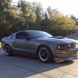 mustang complete
